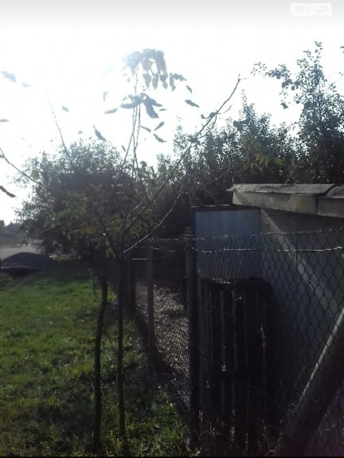Ділянка 43 соток, Рідківці: під житлову забудову, вихід до водоймища - фото 3