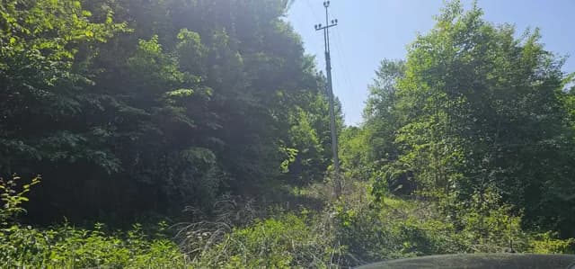 Ділянка 62 соток, Дубриничі: курорт Новоселиця, кордон зі Словаччиною - фото 4