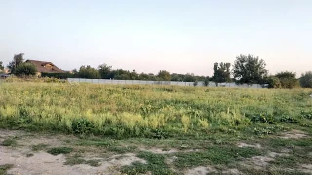 Ділянка 24 соток, Новоалександрівка: річка Сура, заїзд з усіх боків - фото 4