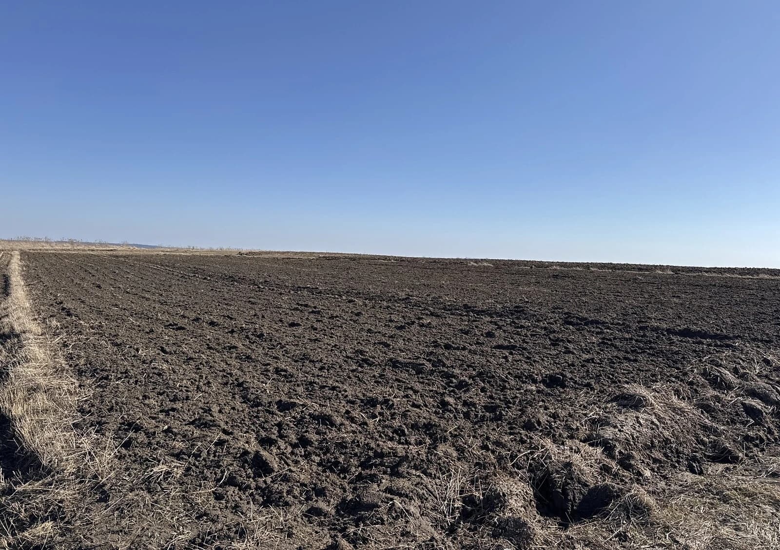 Ділянка 26.06 сотки, Бронники: сільськогосподарська, змішаний ґрунт - фото 2