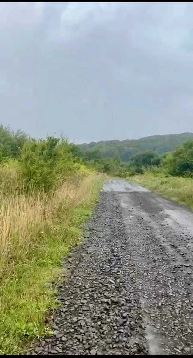 Ділянка 20 соток, Гута: до 15 км до центру, ліс і річка - фото 2