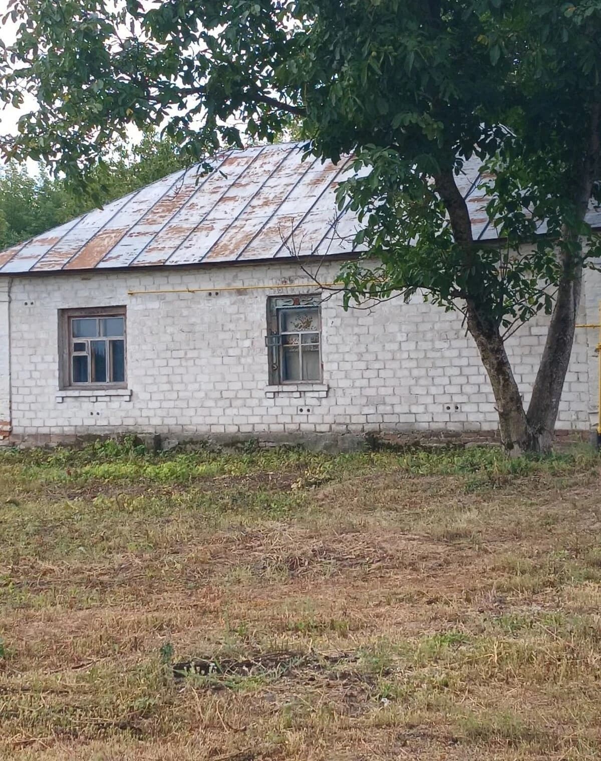 Будинок, Лихолітки: опалення, 27 соток, торг - фото 1