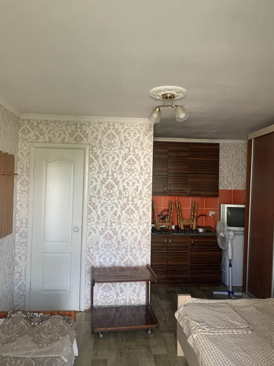 Студія, Пересипський: авторський проєкт, можна з тваринами - фото 2