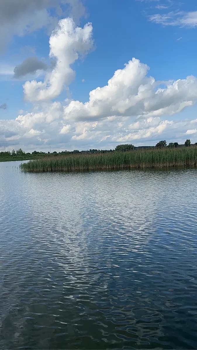 Ділянка 0.24 соток, Уховецьк: озеро Ухо поруч, 18 км від Ковеля - фото 2