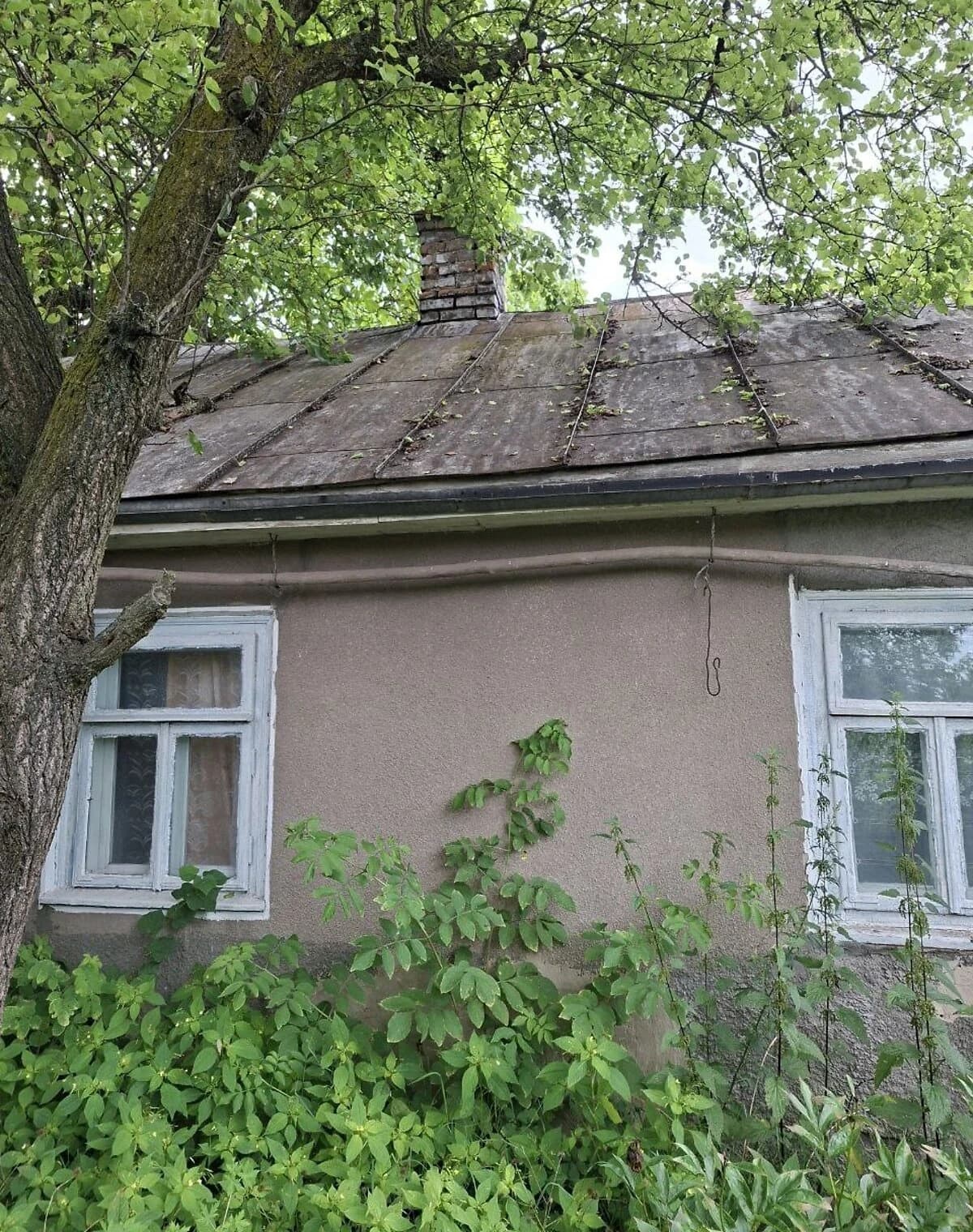 Ділянка 12 соток, Сенкевичівка: під житлову забудову, сад і паркан - фото 4