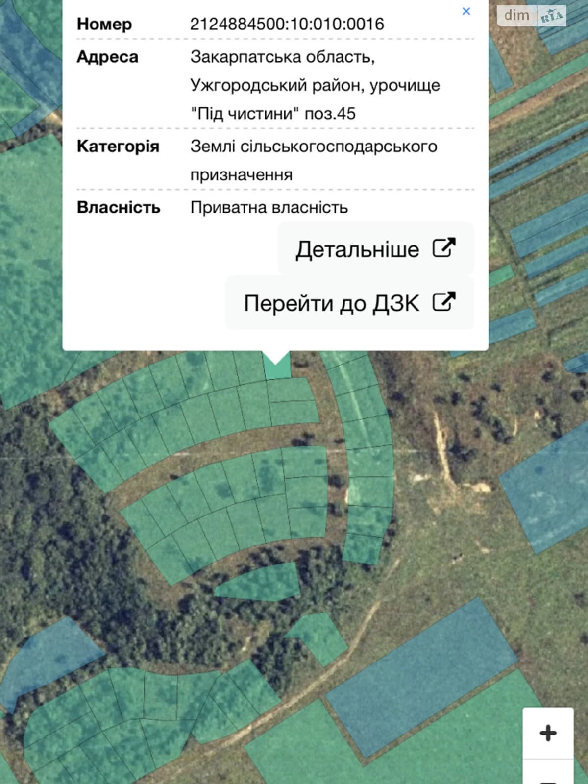 Ділянка 5.5 сотки, Невицьке: індивідуальне садівництво - фото 2