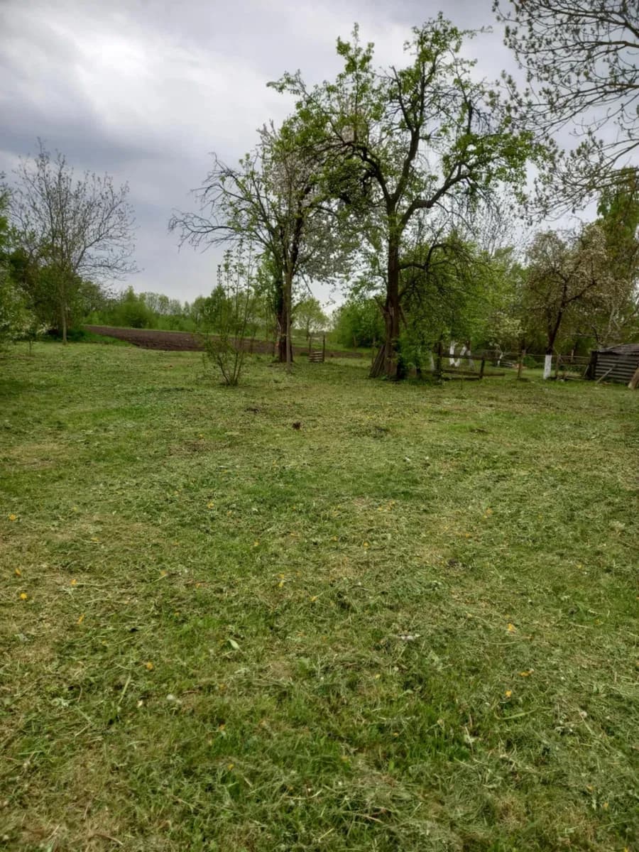 Будинок, Микулинці: берег річки, без сусідів, літня кухня - фото 3