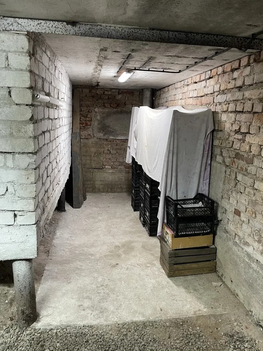 Гараж, Покровський: погріб на всю площу, вода та нова електрика - фото 2