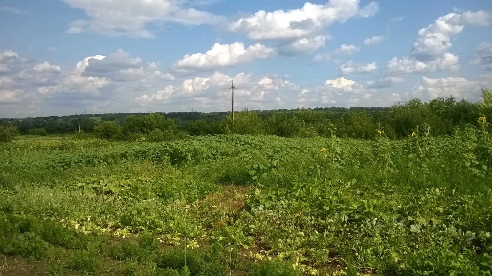 Ділянка 21 соток, Докучаївське: світло, метро Індустріальна 15 хв - фото 3