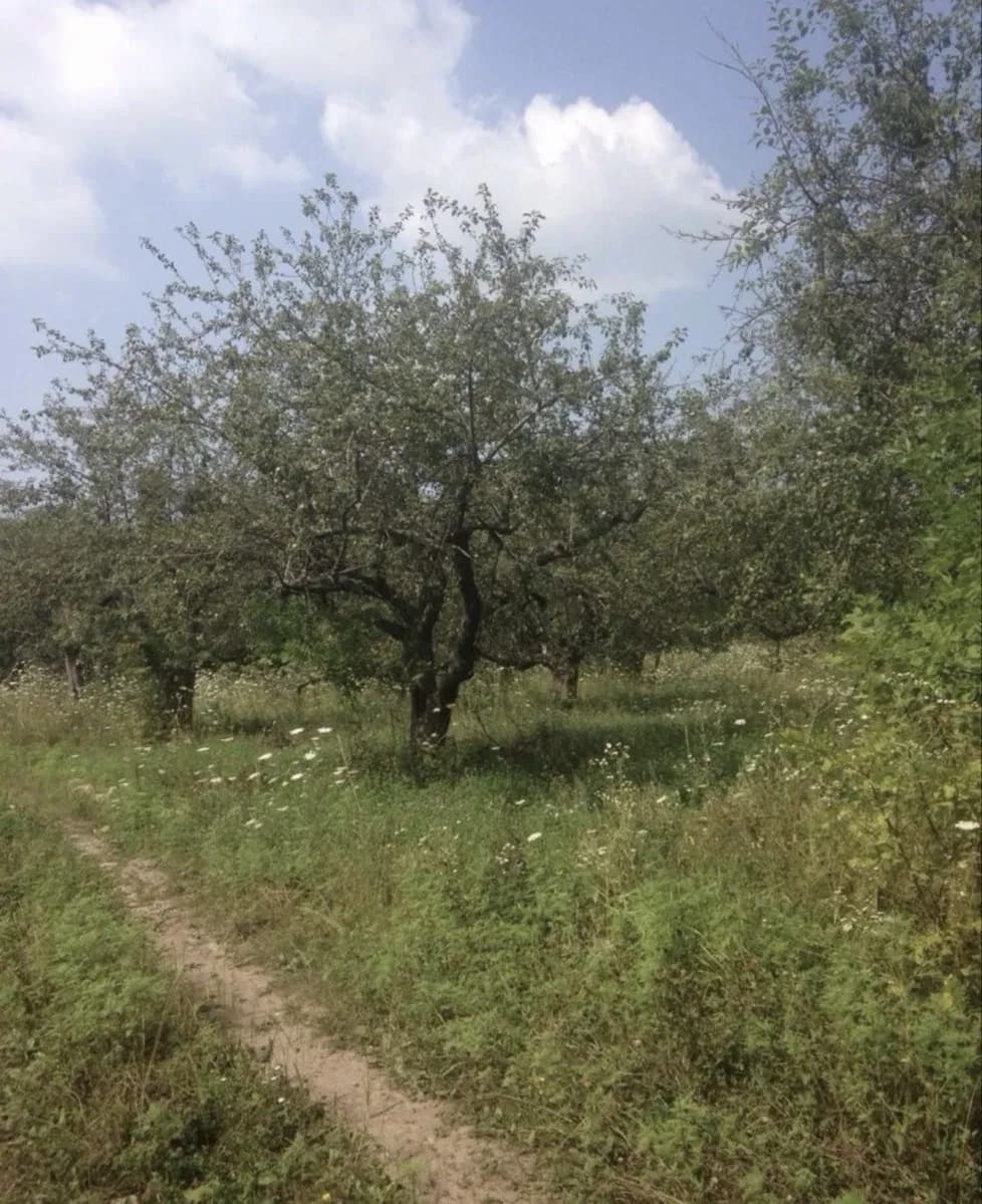 Ділянка 8 400 соток, Покотилівка: під котеджне поселення - фото 2
