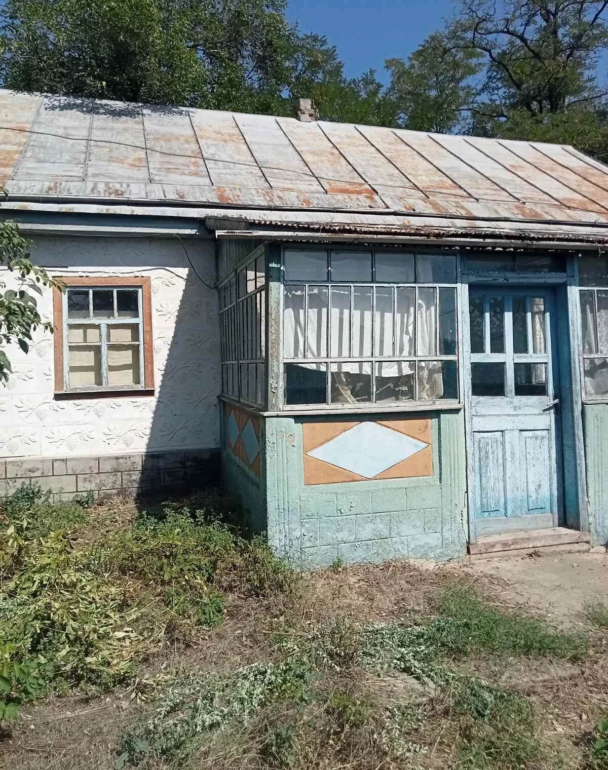 Будинок, Синьки: гараж, 40 соток, єВідновлення - фото 2