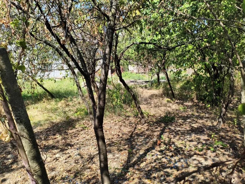 Ділянка 5 соток, Брід: рівний рельєф, електрика - фото 2