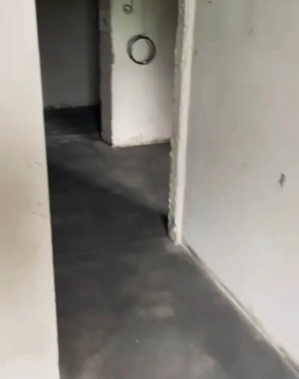 1-кімнатна квартира, Білогородка: газове опалення, переуступка - фото 4