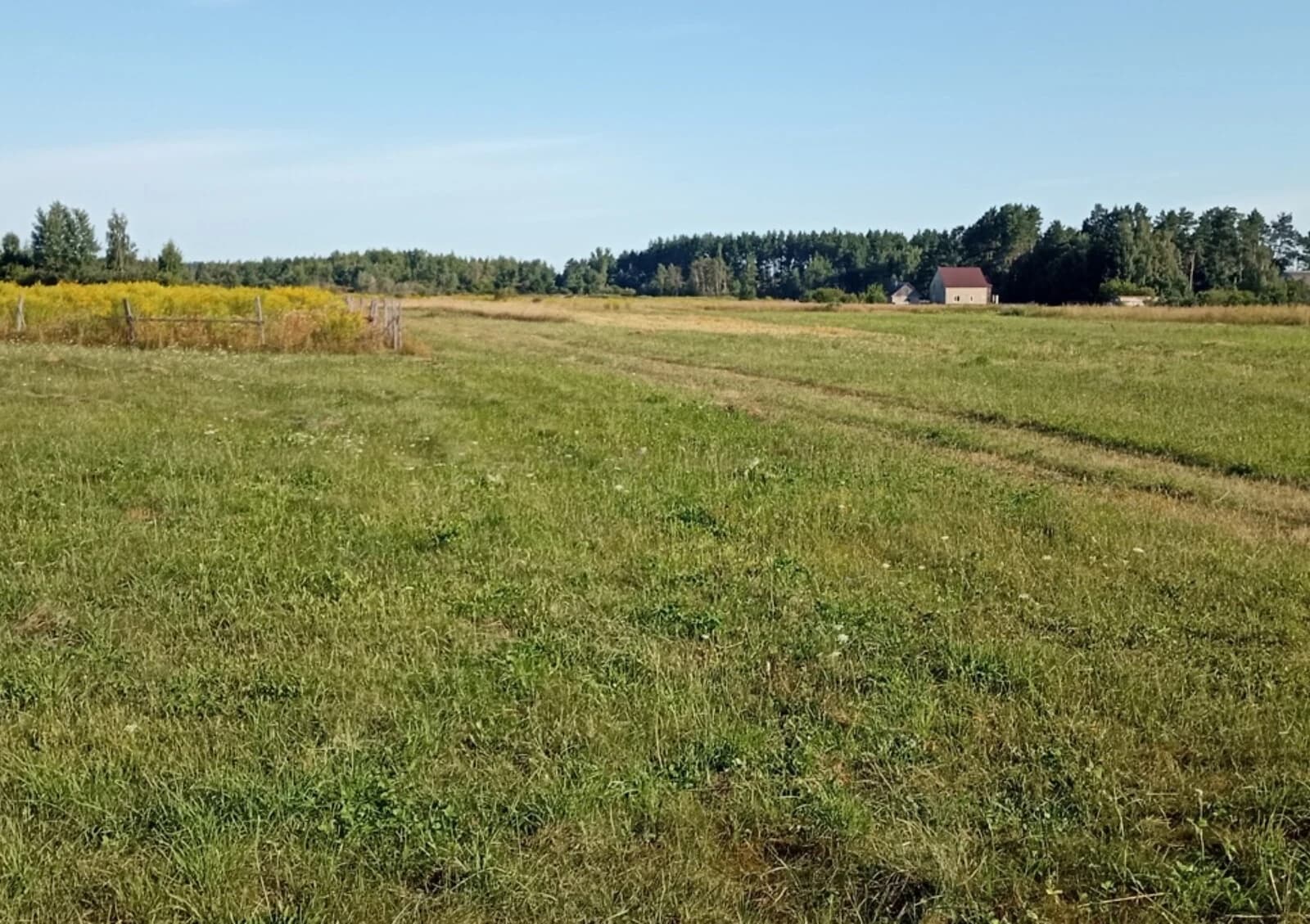 Ділянка 12 соток, Івашківка: під житлову забудову, чорнозем - фото 2