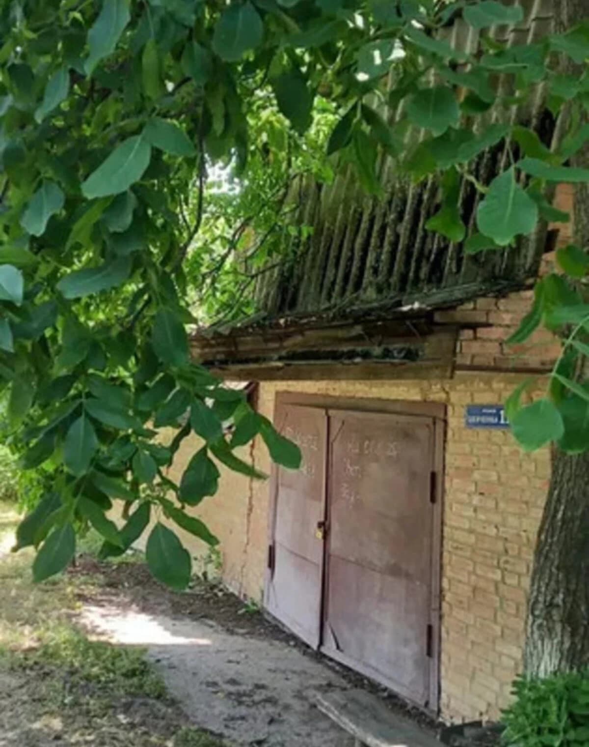 Будинок, Петрівка (Полтава): гараж із підвалом, 25 соток - фото 3