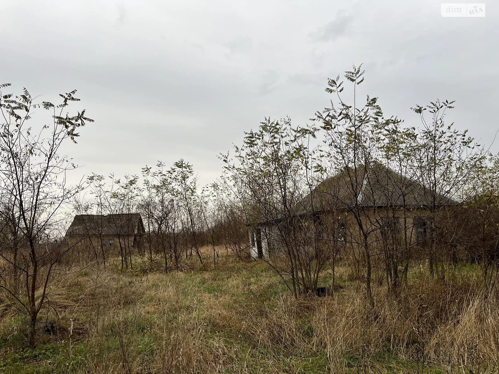 Ділянка 50 соток, Орлівщина: під житлову забудову, під гараж - фото 2