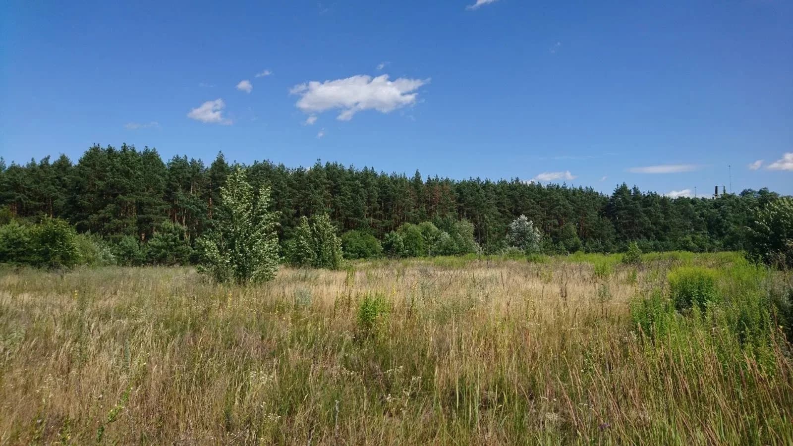 Ділянка 10 соток, Старі Петрівці: перша лінія від лісу, водосховище 2 км - фото 1