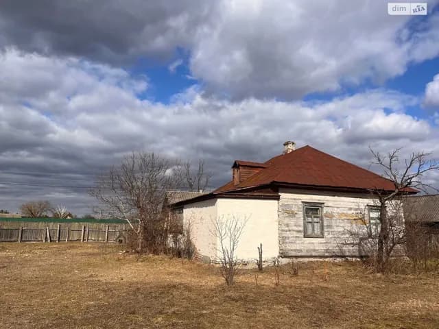 Будинок, Воропаїв: пічне опалення, криниця, літня кухня - фото 2