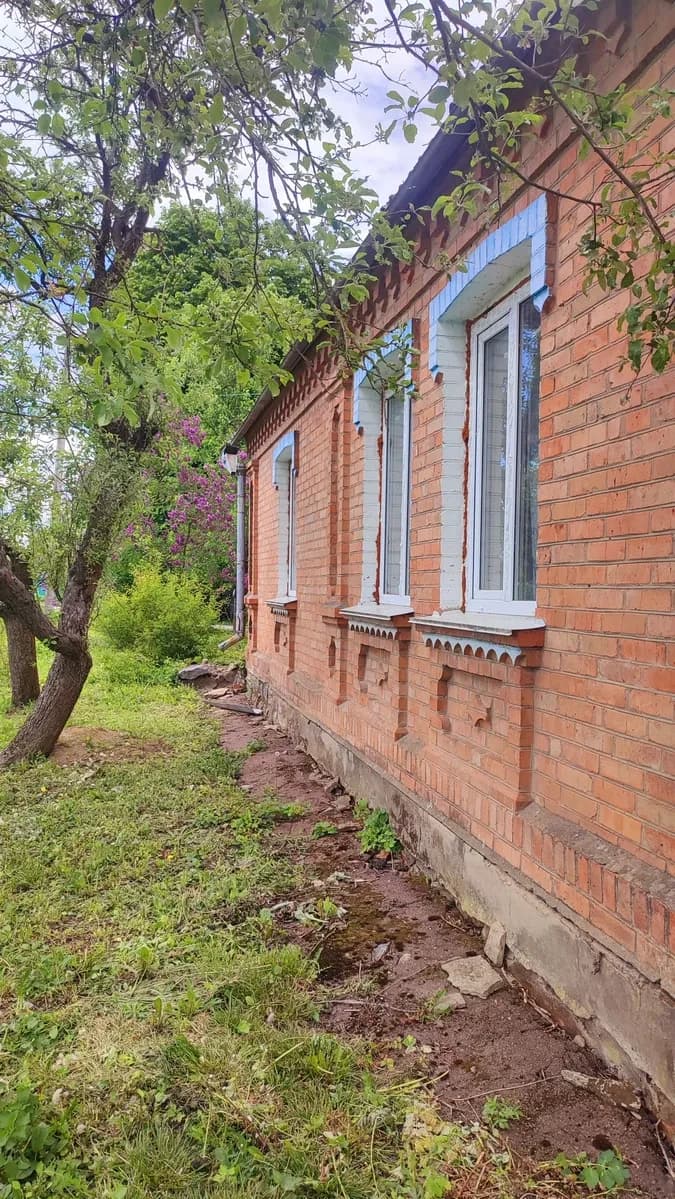 Будинок, Райки: 25 соток, великий гараж, газове й пічне опалення - фото 1