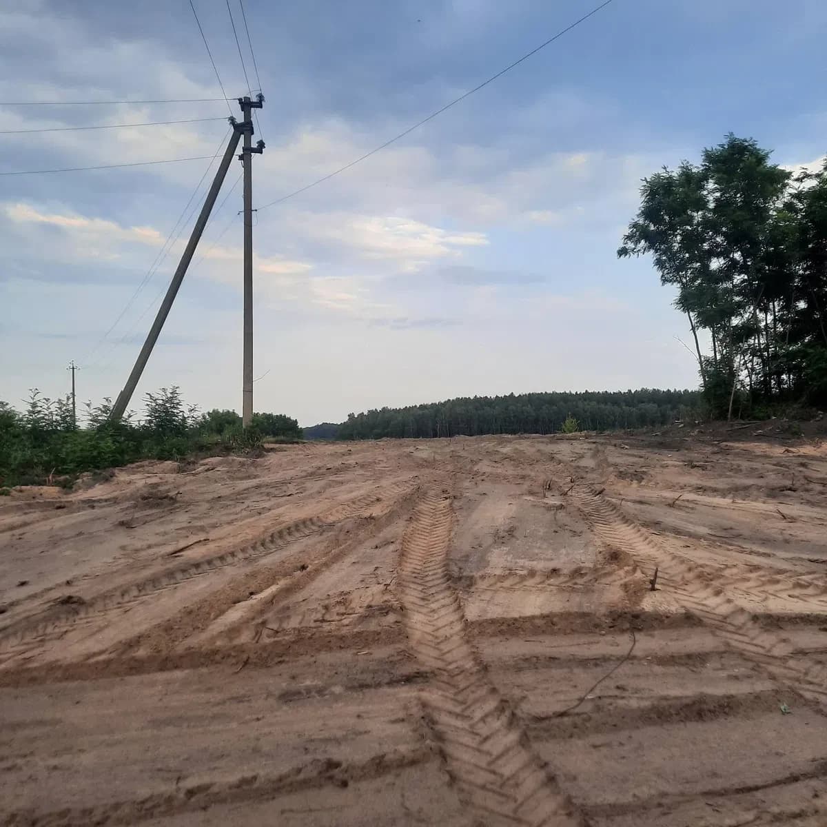 Ділянка 40 соток, Березань: ліс та озеро, Київ-Харків за 800 м - фото 2