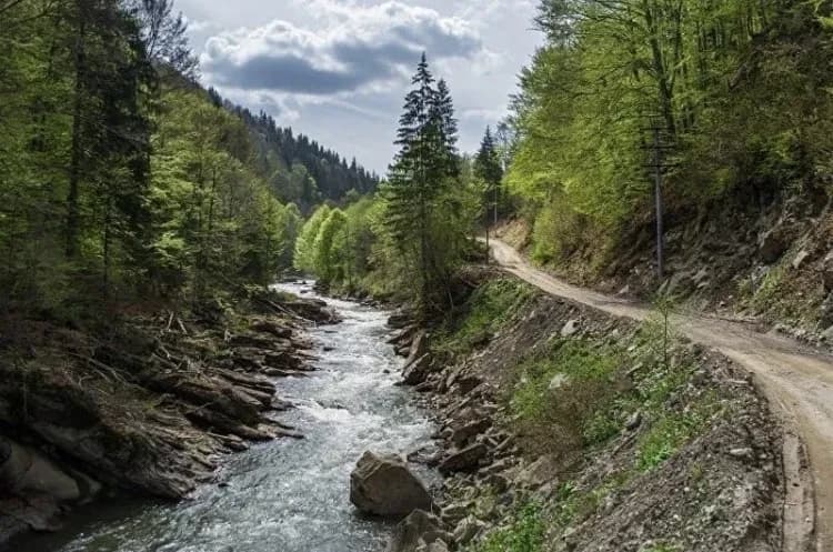 Ділянка 46 соток, Верховина: біля Чорного Черемоша, без сусідів - фото 4