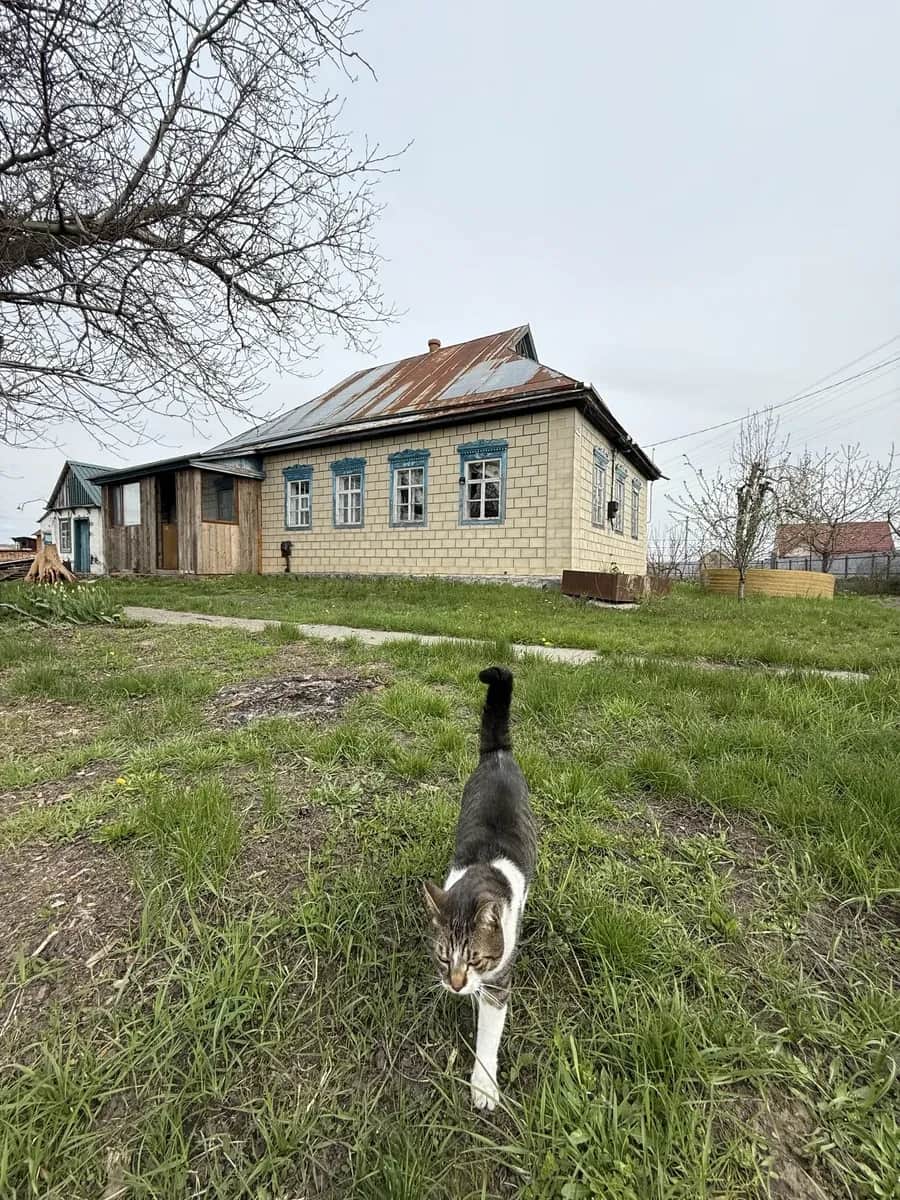 Будинок, Мліїв: 50 соток, газ, вода і каналізація - фото 1