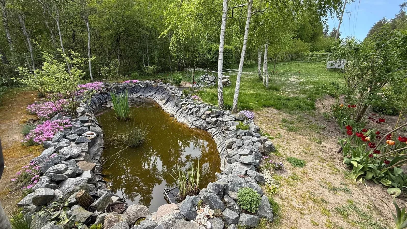 Будинок, Мархалівка: авторський ремонт, басейн, резервне живлення - фото 2