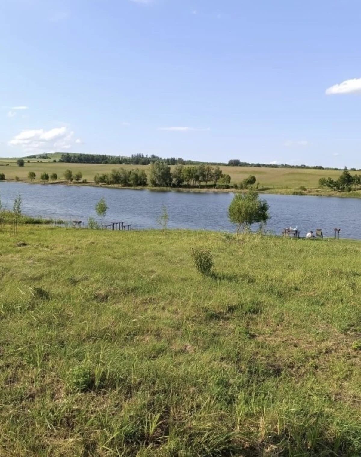 Ділянка 127 соток, Великий Кучурів: під житлову забудову, під гараж - фото 2