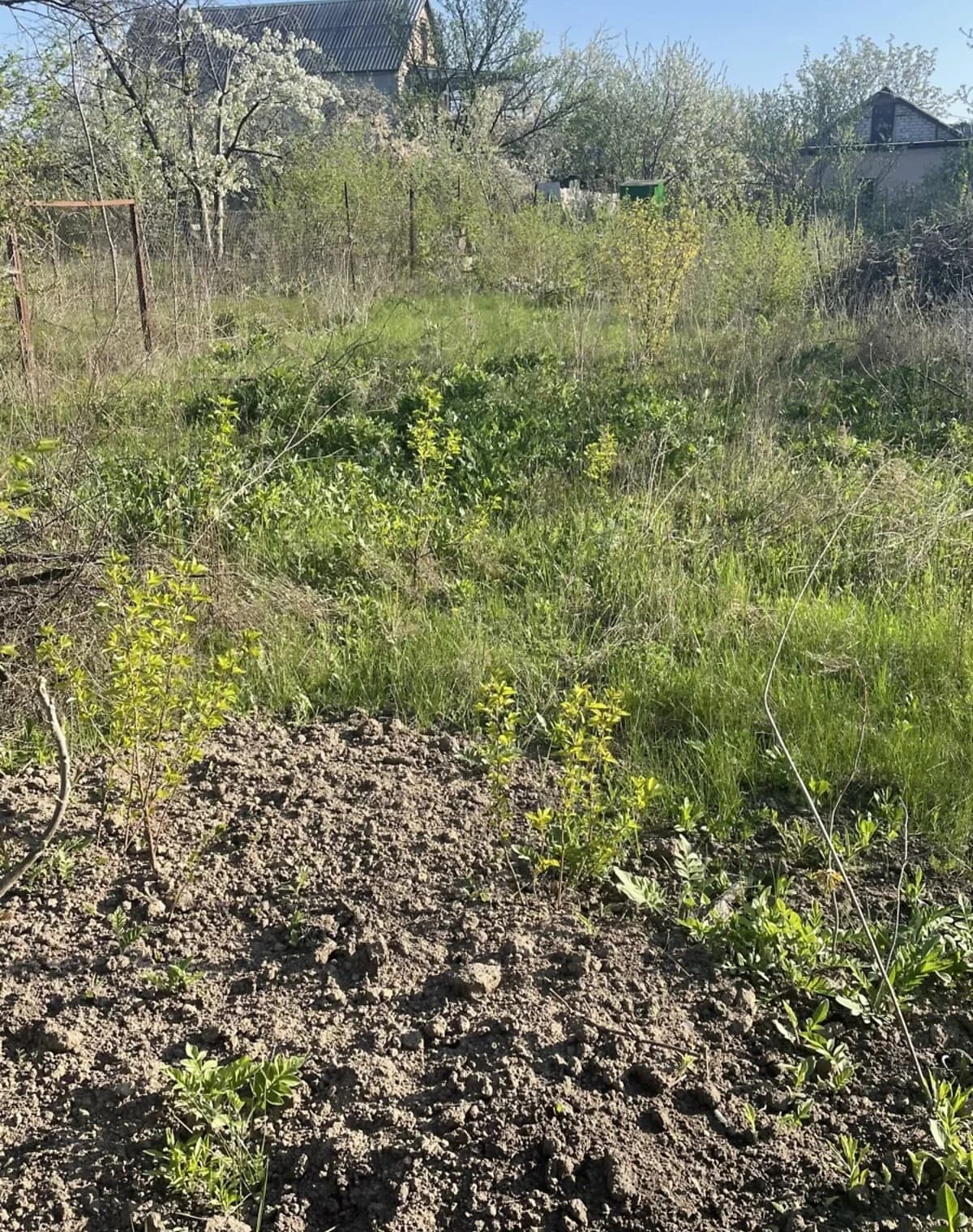 Ділянка 5.98 соток, Підгороднє: під будівництво будинку, під садівництво - фото 3