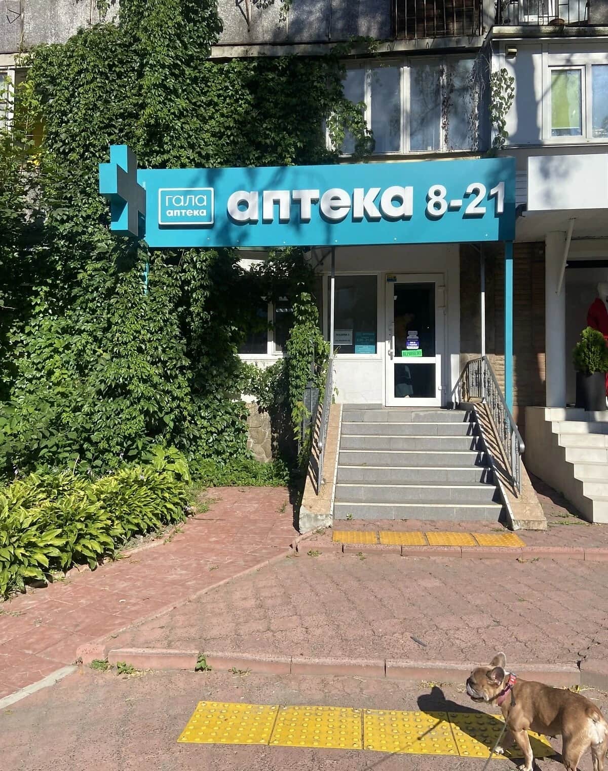 Приміщення, Вишгород: під аптеку, перший поверх - фото 1