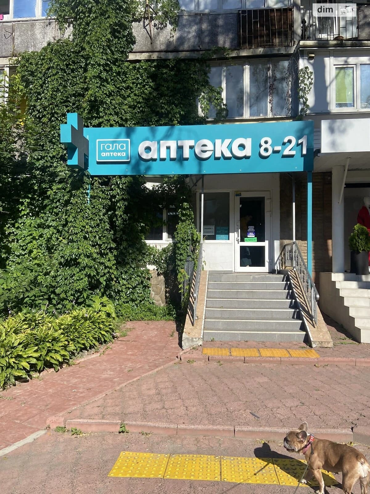 Приміщення, Вишгород: під аптеку, перший поверх - фото 1