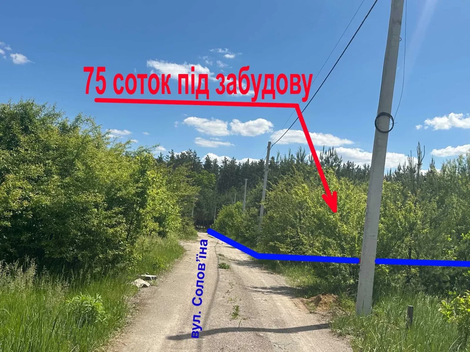 Ділянка 75 соток, Тарасівка: вихід до лісу, фасад 125 м - фото 1