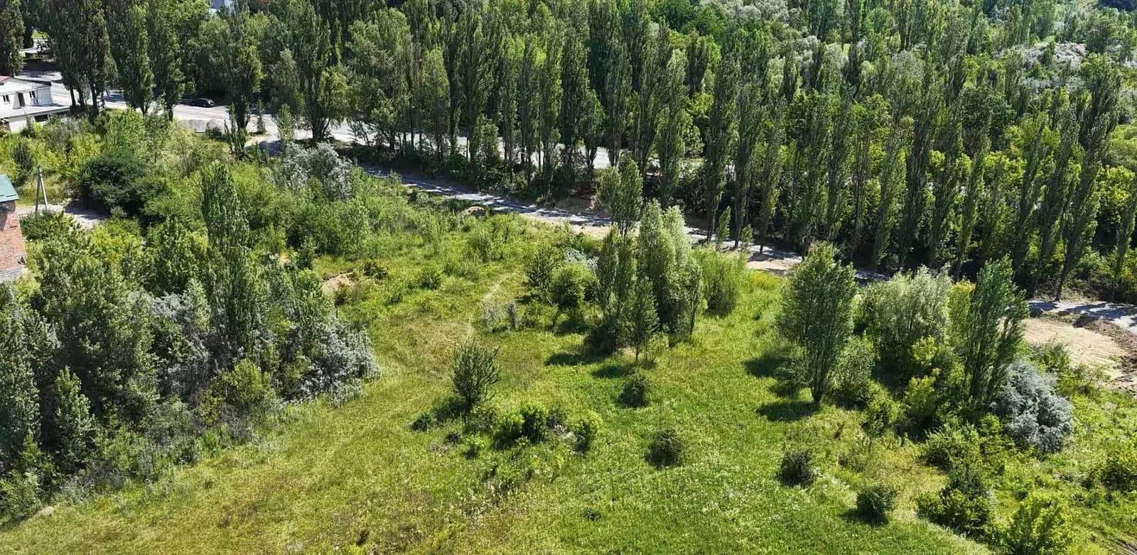 Ділянка 30 соток, Олешин: під комерцію, фасад 120 м - фото 1