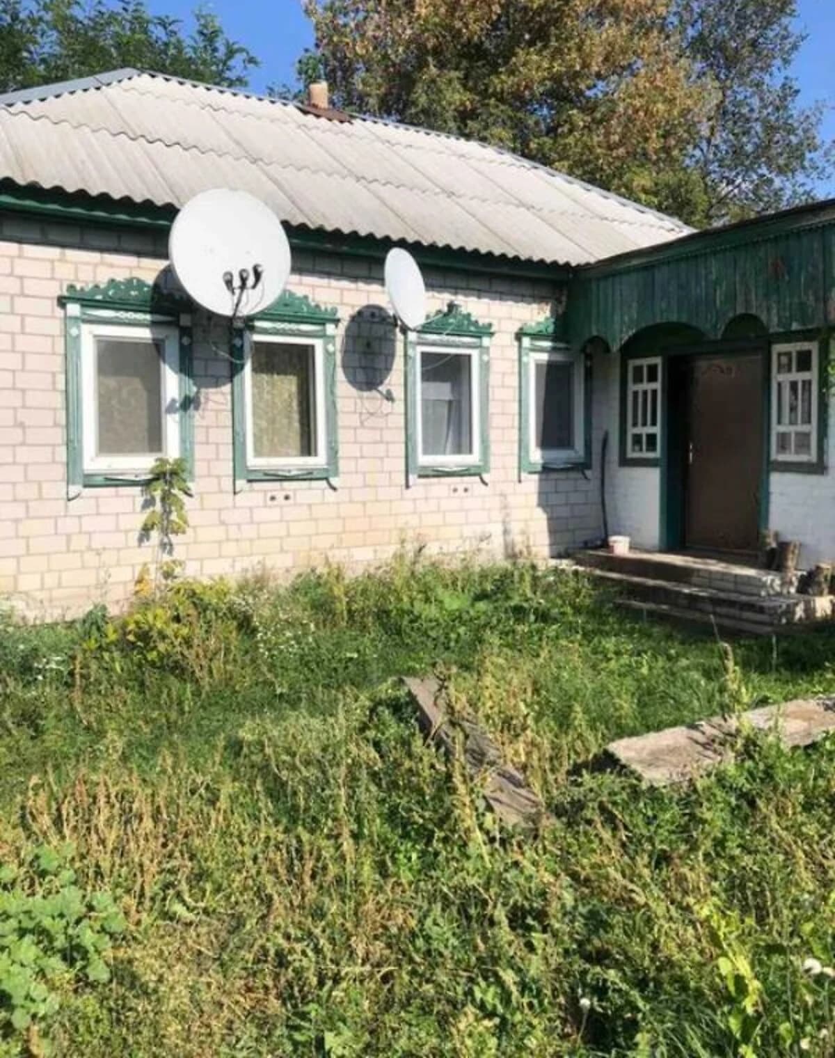 Будинок, Володькова Дівиця: гараж, 49 соток, шиферний дах - фото 1