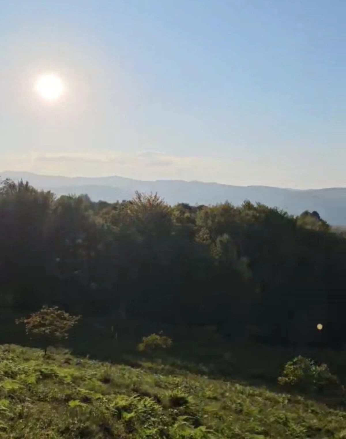 Ділянка 75 соток, Люча: сільськогосподарське призначення, сад - фото 3