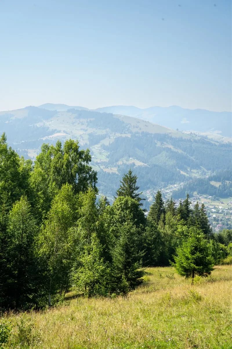 Ділянка 76 соток, Верховина: краєвид на Чорногірський хребет - фото 3