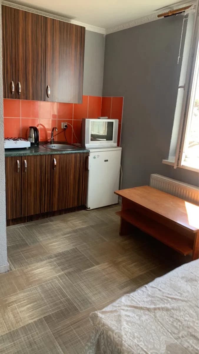 Студія, Пересипський: авторський проєкт, можна з тваринами - фото 3