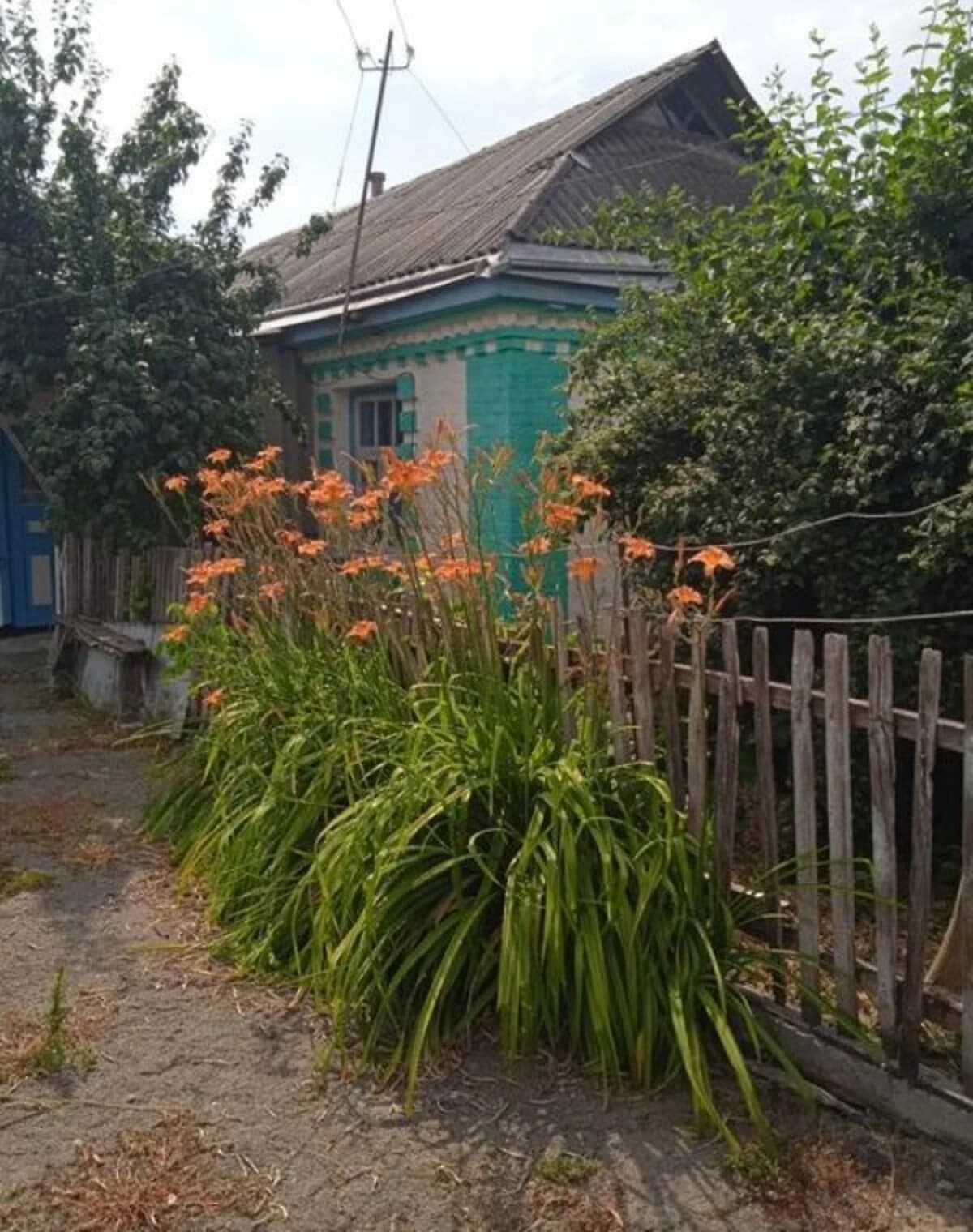 Будинок, Старі Бабани: гараж у дворі, 40 соток, цегляні стіни - фото 2