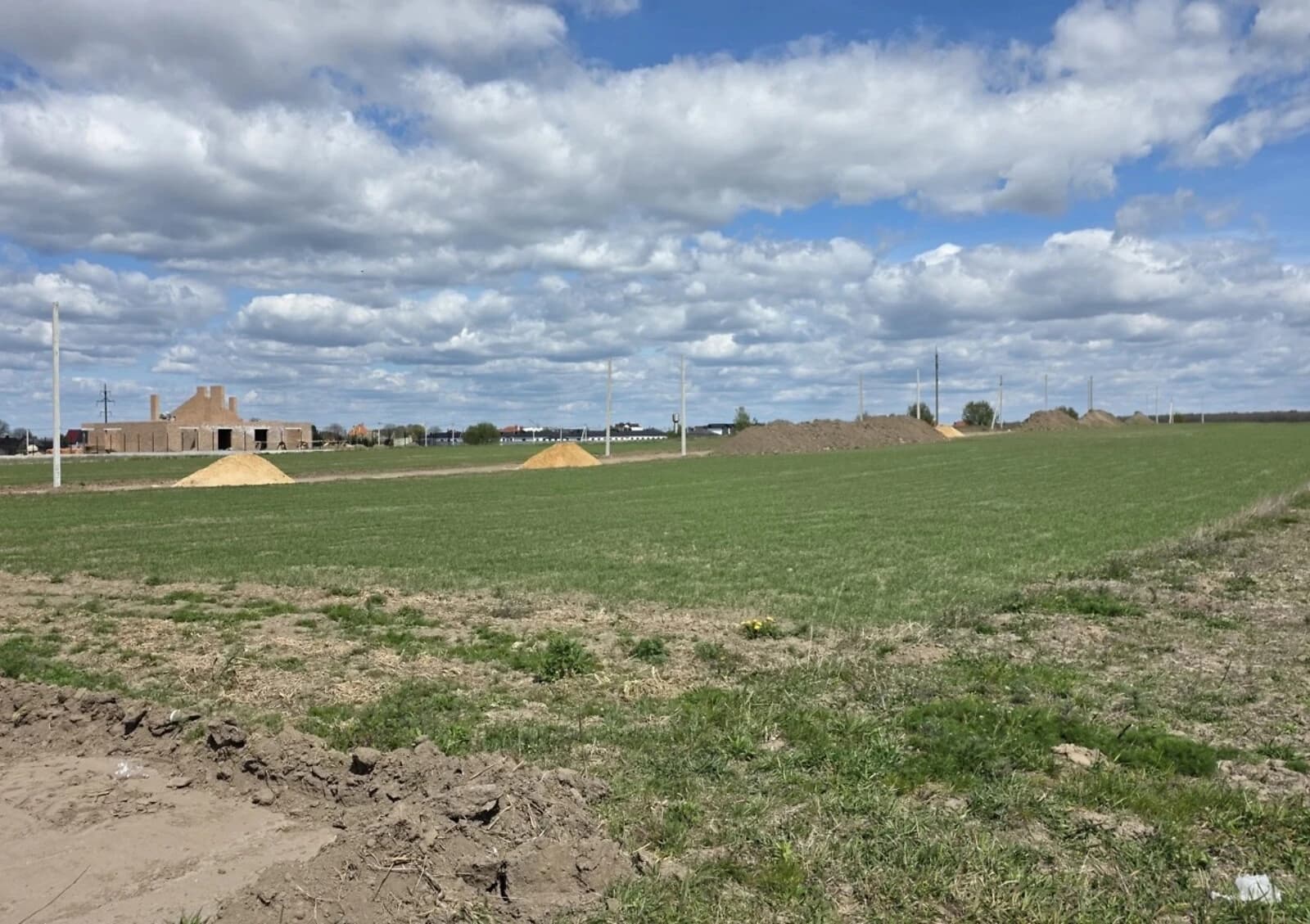 Ділянка 118 соток, Струмівка: під житлову забудову, електрика - фото 3