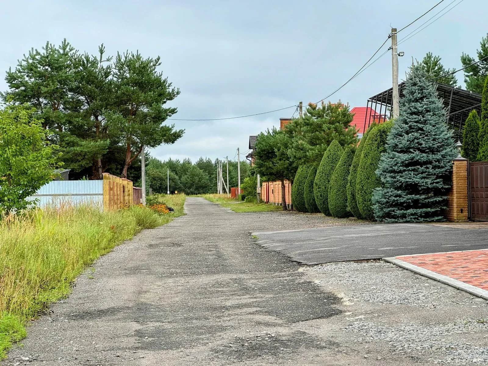 Ділянка 10 соток, Березівка: біля лісу, асфальтована дорога, газ - фото 1
