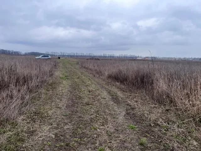 Ділянка 6 соток, Агрономічне: поруч електричні стовпи, до 5 км від міста - фото 4