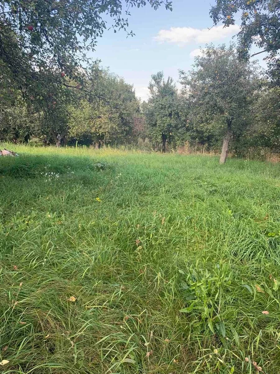 Будинок, Лісові Сороченці: Прилуки до 15 км, 25 соток, школа - фото 2