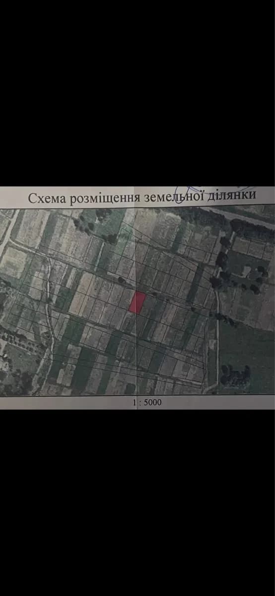 Ділянка 10 соток, Чернігів: СТ «Патріот.Епіцентр» - фото 3