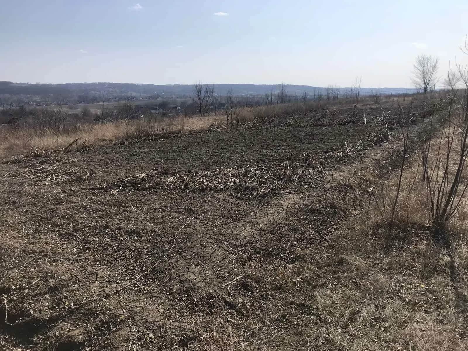 Ділянка 10 соток, Гусачівка: житлова забудова, торг - фото 1