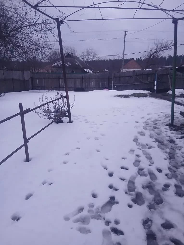 Будинок, Руська Поляна: 14 соток, поруч ліс, від забудовника - фото 2