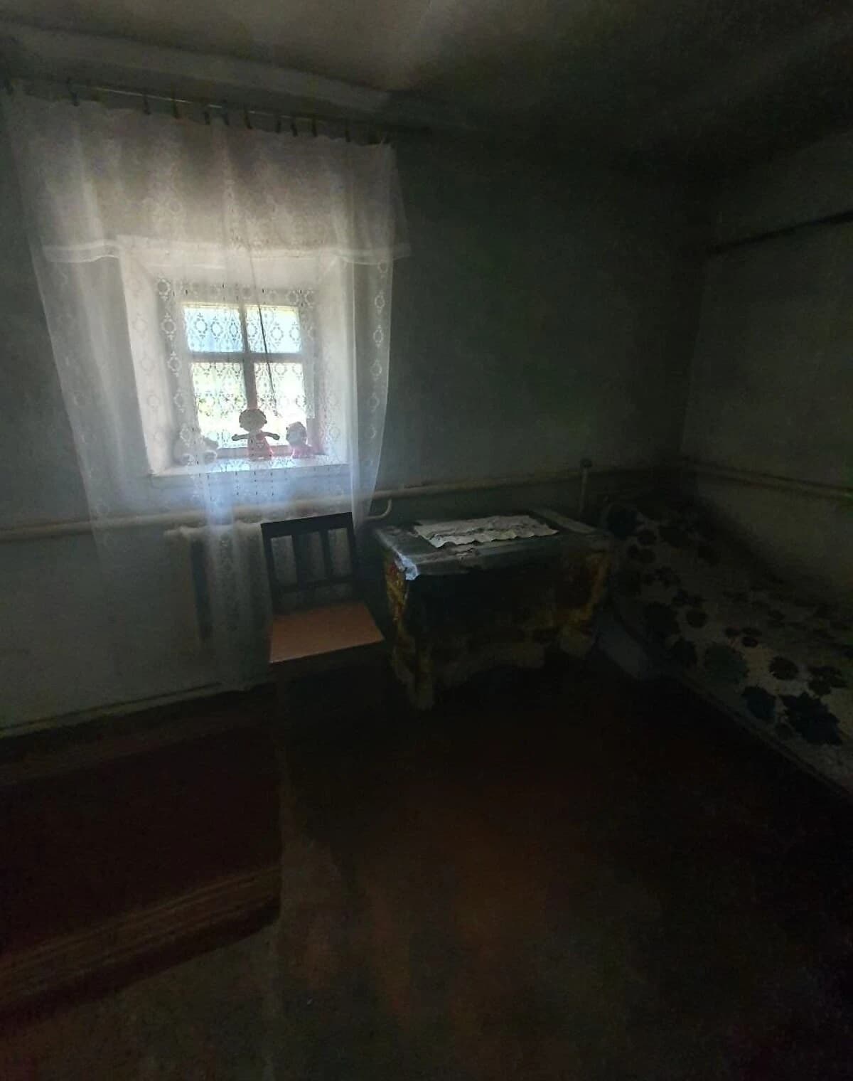 Ділянка 44.98 сотки, Лука-Мелешківська: сад і будинок, електрика - фото 4