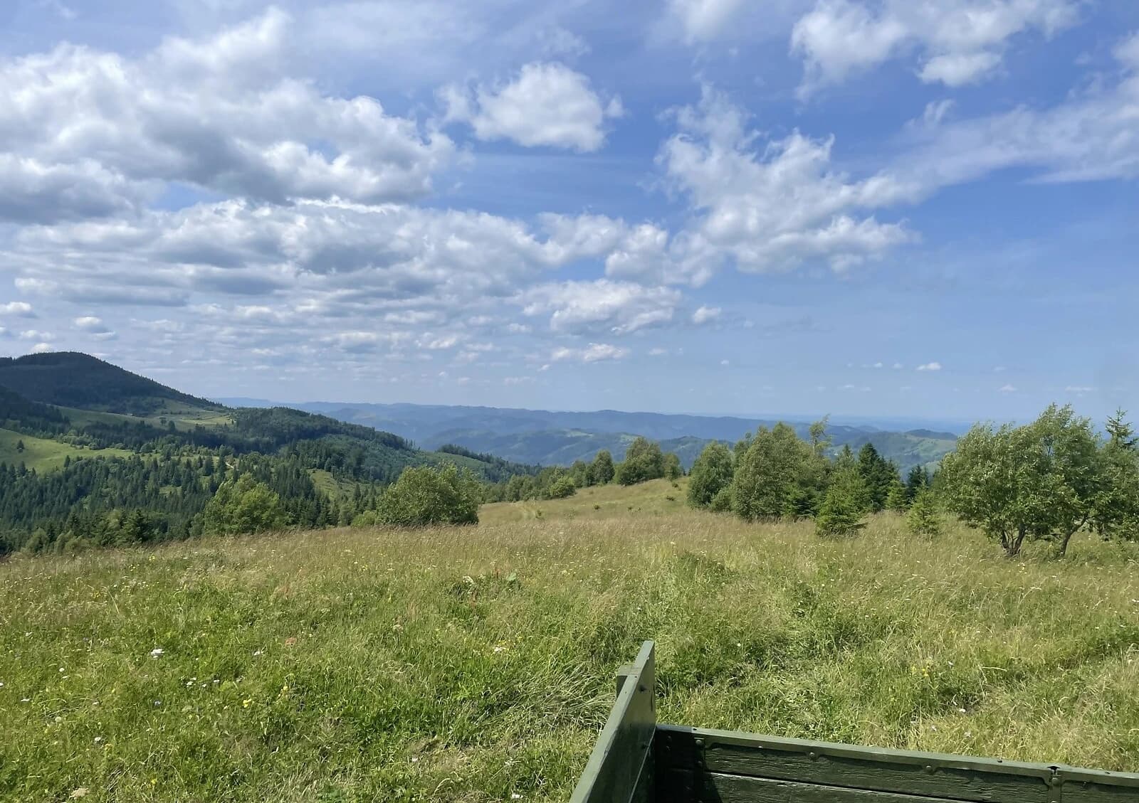 Ділянка 304.7 сотки, Бисків: під житлову забудову, біля гір - фото 3