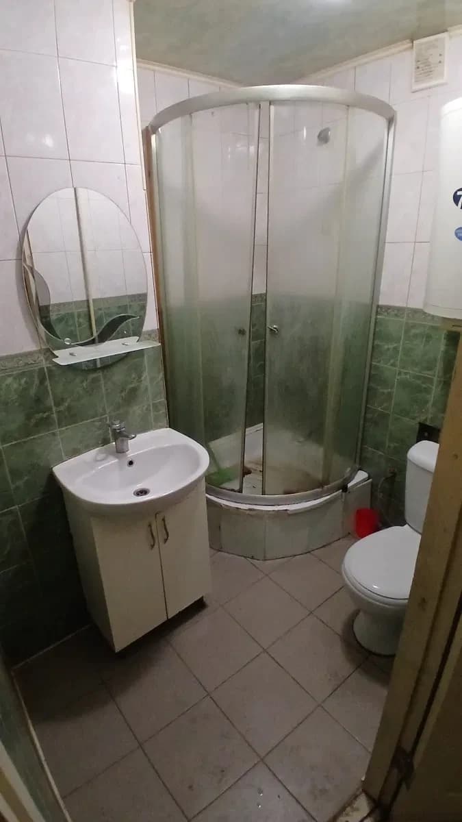 1-кімнатна квартира, Новомиколаївка: цегляний будинок, торг - фото 2