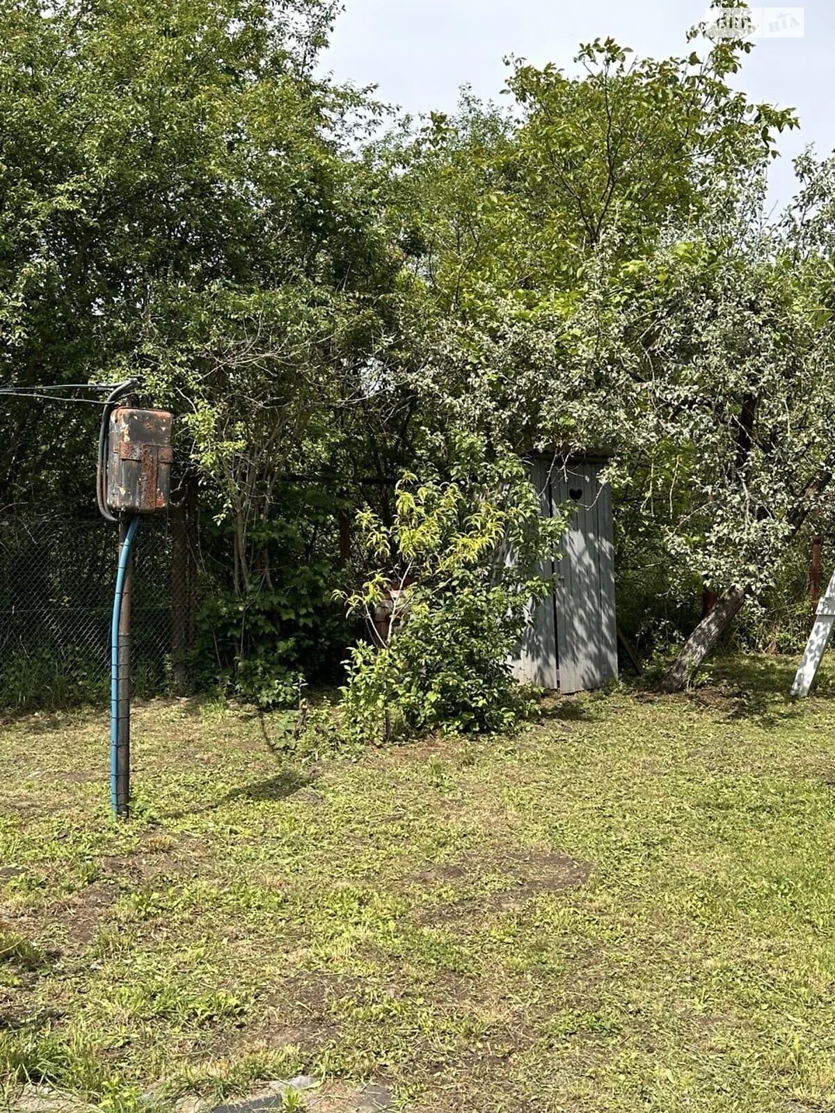 Ділянка 9.28 соток, Брати: свердловина, сад і виноградник - фото 4
