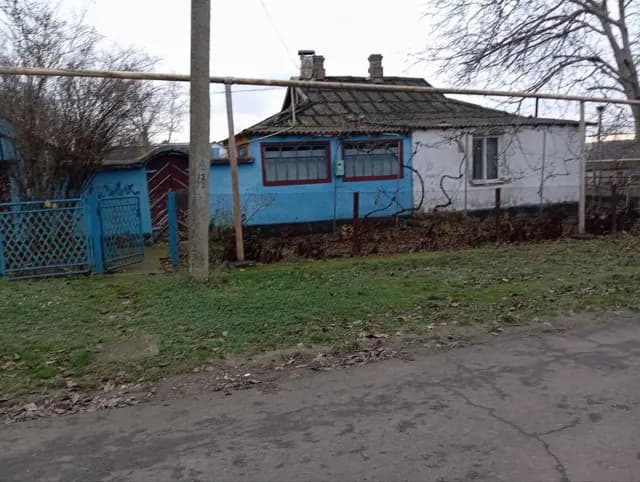 Будинок, Радісне: гараж, 13 соток, усі комунікації - фото 1
